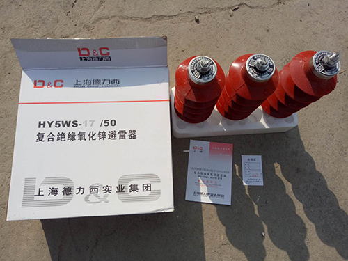 避雷器HY5WS-17-50德力西